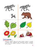 Развиваем логику и речь: для детей 4-6 лет — фото, картинка — 5