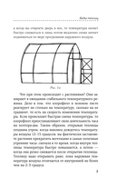 Теплица. Выращиваем овощи с ранней весны до поздней осени — фото, картинка — 7