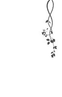 Тайны, что мы храним — фото, картинка — 1