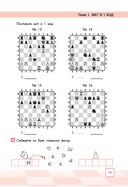 Сокровища Шахматландии. Сила фигур — фото, картинка — 11