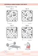 Сокровища Шахматландии. Сила фигур — фото, картинка — 12