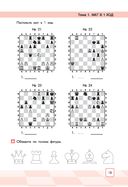 Сокровища Шахматландии. Сила фигур — фото, картинка — 13