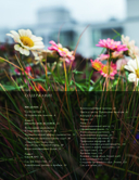 Балконные сады. Личный терапевтический сад в каменных джунглях – балконы, террасы, веранды и крыши — фото, картинка — 1