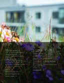 Балконные сады. Личный терапевтический сад в каменных джунглях – балконы, террасы, веранды и крыши — фото, картинка — 3