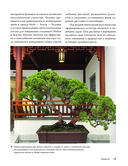 Балконные сады. Личный терапевтический сад в каменных джунглях – балконы, террасы, веранды и крыши — фото, картинка — 14