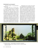 Балконные сады. Личный терапевтический сад в каменных джунглях – балконы, террасы, веранды и крыши — фото, картинка — 15