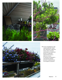 Балконные сады. Личный терапевтический сад в каменных джунглях – балконы, террасы, веранды и крыши — фото, картинка — 5