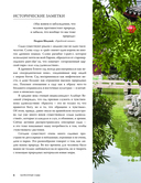 Балконные сады. Личный терапевтический сад в каменных джунглях – балконы, террасы, веранды и крыши — фото, картинка — 6