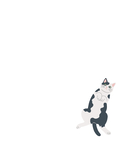 Ежедневник недатированный 