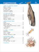 Подводный мир. Энциклопедия для детского сада — фото, картинка — 3