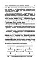 Основы финансовой грамотности — фото, картинка — 19