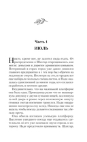 Загадка города Шахтар — фото, картинка — 5