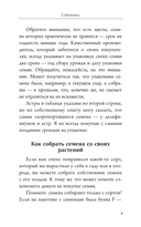 Рассада с Ларисой Кочелаевой. Сеем, холим и лелеем — фото, картинка — 8