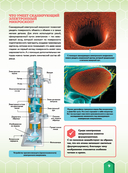 Микромир — фото, картинка — 9