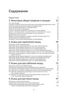 Анатомия йоги. Как работают мышцы — фото, картинка — 1