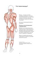 Анатомия йоги. Как работают мышцы — фото, картинка — 5