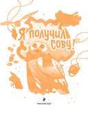 Я получил сову! — фото, картинка — 5