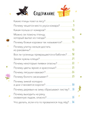 Что, где и почему? Детские вопросы о мире вокруг — фото, картинка — 1