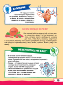 Большая энциклопедия дошкольника с дополненной реальностью — фото, картинка — 15