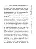 Полюбить, так шпиона! — фото, картинка — 13