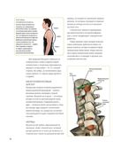 Анатомия упражнений для спины — фото, картинка — 10