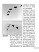 Скоростной истребитель И-16. Любимый самолет Сталина — фото, картинка — 26