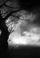 Страшные истории. Не оставайся один в темноте… — фото, картинка — 11