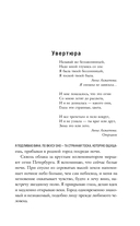 Город ночных птиц — фото, картинка — 7