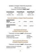 Русский язык. Все правила с котограмотой — фото, картинка — 13