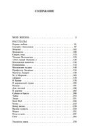 Моя жизнь — фото, картинка — 24