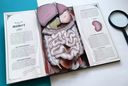 Тело человека. Интерактивная книга-панорама — фото, картинка — 5