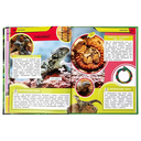 Самые необычные рептилии и амфибии — фото, картинка — 3