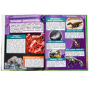 Удивительные существа древности. Динозавры — фото, картинка — 4