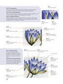 Ботаническая вышивка. 11 сложных проектов с шаблонами в полную величину — фото, картинка — 6