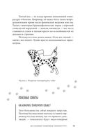 Сам себе ветеринар. Как оказать первую помощь собаке и не пропустить симптомы болезни — фото, картинка — 20