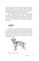 Сам себе ветеринар. Как оказать первую помощь собаке и не пропустить симптомы болезни — фото, картинка — 22