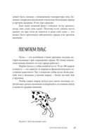 Сам себе ветеринар. Как оказать первую помощь собаке и не пропустить симптомы болезни — фото, картинка — 24