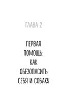 Сам себе ветеринар. Как оказать первую помощь собаке и не пропустить симптомы болезни — фото, картинка — 27