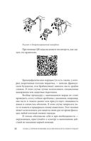 Сам себе ветеринар. Как оказать первую помощь собаке и не пропустить симптомы болезни — фото, картинка — 31