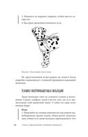 Сам себе ветеринар. Как оказать первую помощь собаке и не пропустить симптомы болезни — фото, картинка — 41