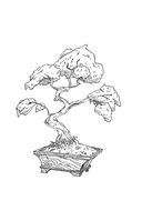 Япония. Духи и технологии — фото, картинка — 16