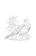 Япония. Духи и технологии — фото, картинка — 12