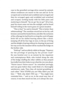 The Wind in the Willows — фото, картинка — 5