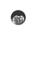 Дочь спецагента — фото, картинка — 2