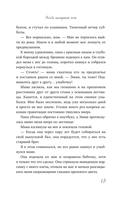 Когда наступает ночь — фото, картинка — 10