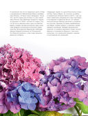 Гортензии. Прекрасные цветы для дома и сада — фото, картинка — 15