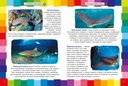 Энциклопедия для малышей. Удивительный подводный мир — фото, картинка — 1