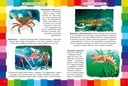 Энциклопедия для малышей. Удивительный подводный мир — фото, картинка — 4