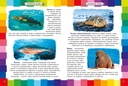 Энциклопедия для малышей. Удивительный подводный мир — фото, картинка — 5