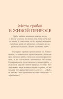 Грибы русского леса. Иллюстрированный определитель — фото, картинка — 4